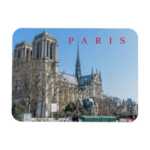 Paris Notre Dame Cathedral uitzicht friet magnet Magneet