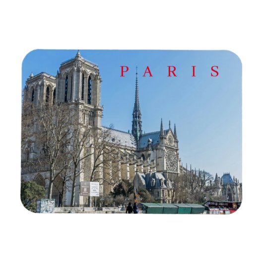 Paris Notre Dame Cathedral uitzicht friet magnet Magneet (Horizontaal)