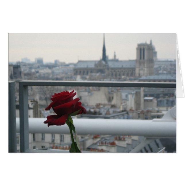 Paris on à Cloudy day (Devant horizontal)