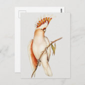 Parish Briefkaart (Voorkant / Achterkant)