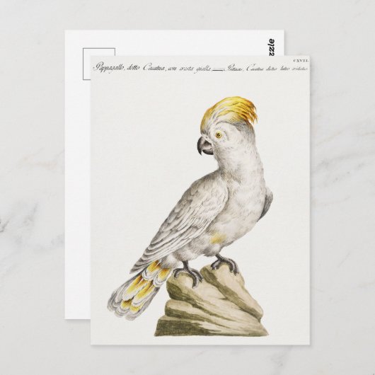 Parish Briefkaart (Voorkant / Achterkant)