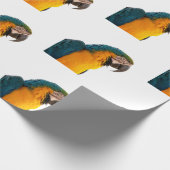 Parish Cadeaupapier (Hoek)