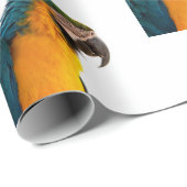 Parish Cadeaupapier (Rol Hoek)