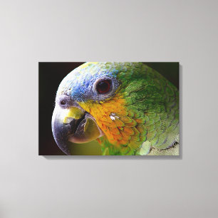Parish Canvas Afdruk