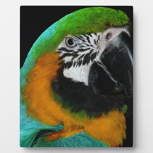 Parish Fotoplaat (Voorkant)