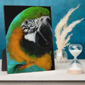 Parish Fotoplaat (Zijkant)