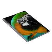 Parish Notitieboek (Rechterzijde)