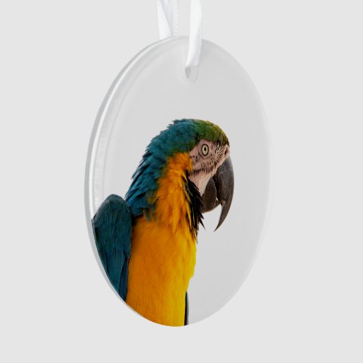 Parish Ornament (voorkant)