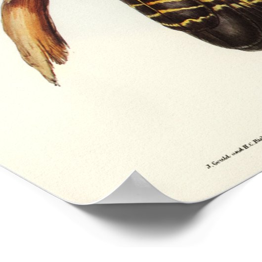 Parish Poster (Hoek)