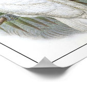 Parish Poster (Hoek)