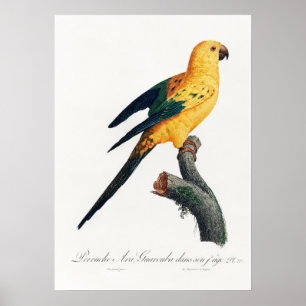 Parish Poster