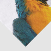 Parish Tissuepapier (Detail)