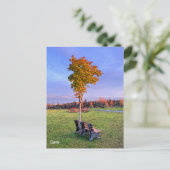 Park Bench Alaska - Carte postale (Debout devant)