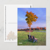 Park Bench Alaska - Carte postale (Devant / Derrière)