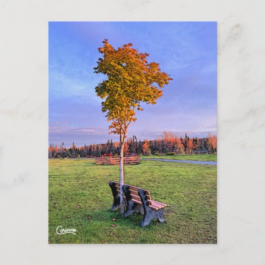 Park Bench Alaska - Carte postale (Devant)