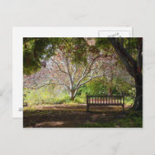 Park Bench Briefkaart (Voorkant / Achterkant)