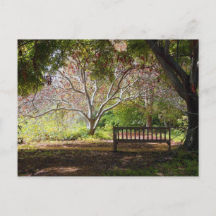 Park Bench Briefkaart