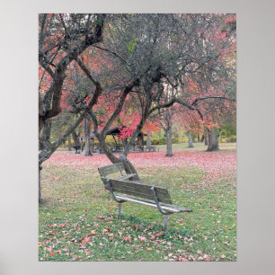 Park Bench in het Poster van het najaar