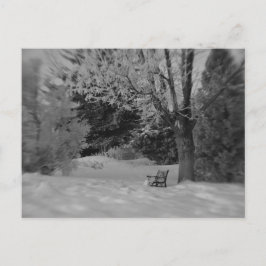Park Bench in Winter Briefkaart