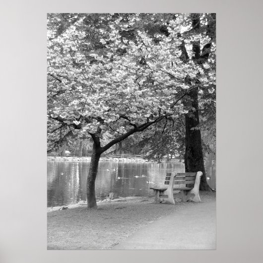 Park Bench Poster (Voorkant)