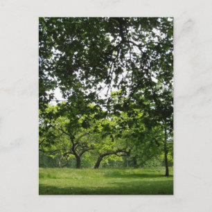 Park Briefkaart