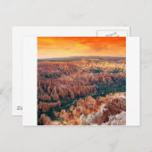 Park Bryce Canyon Utah Briefkaart (Voorkant / Achterkant)