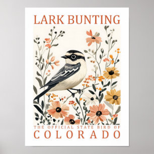 Park Bunting Bird of Colorado Verenigde Staten Rei Poster