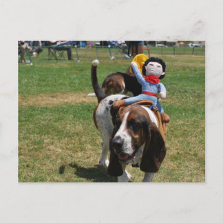 Park de Basset Hound Briefkaart