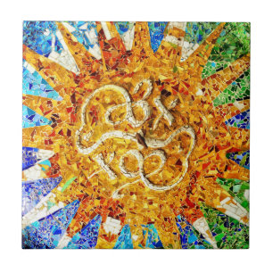 Park Guell mosaics Tegeltje