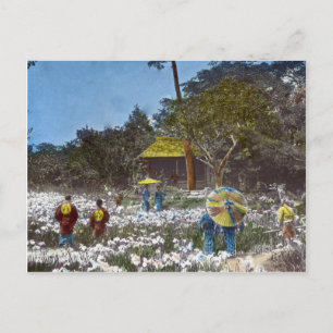 Park in Tokyo Japan  Hand Tinted Briefkaart