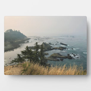 Park Kaap Arago, kust van Oregon Fotoplaat