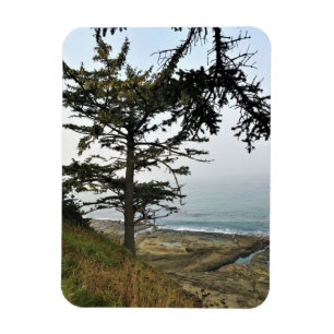 Park Kaap Arago, kust van Oregon Magneet