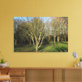 Park Landschap in de vroege lente Canvas Afdruk (Insitu (Woonkamer))