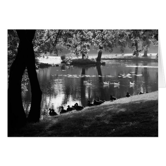 Park Life gccna (Voorkant Horizontaal)