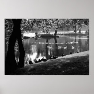 Park Life-wapen Poster