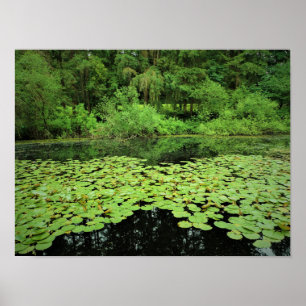 Park Molalla, Canby, Oregon Poster