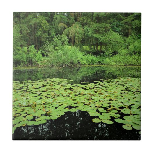 Park Molalla, Canby, Oregon Tegeltje (Voorkant)