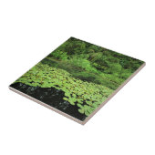 Park Molalla, Canby, Oregon Tegeltje (Zijkant)