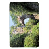 Park Natuurbrug in Virginia Magneet (Verticaal)