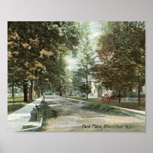Park Place, Bloomfield, New Jersey 1906 Poster (Voorkant)