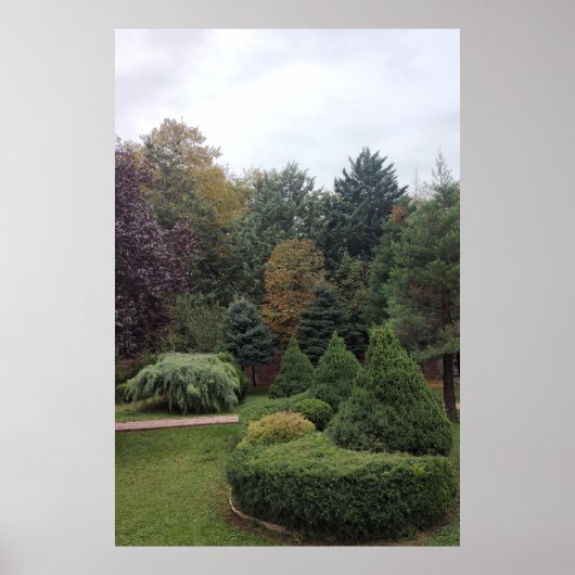 Park Poster (Voorkant)