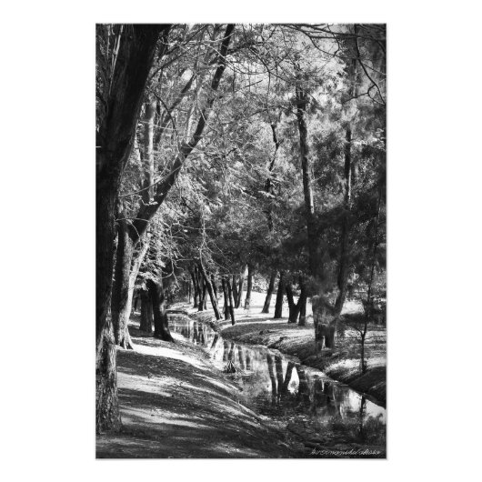 Park Stream B&W Photographie Imprimer (Devant)