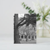 Park uitzicht briefkaart (Staand voorkant)