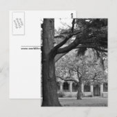 Park uitzicht briefkaart (Voorkant / Achterkant)