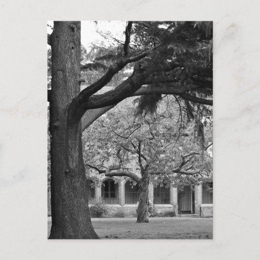 Park uitzicht briefkaart (Voorkant)