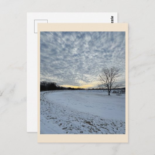 Park Winter Sunset Briefkaart (Voorkant / Achterkant)