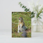 Parkee Squirrel op Unalaska Island Briefkaart (Staand voorkant)