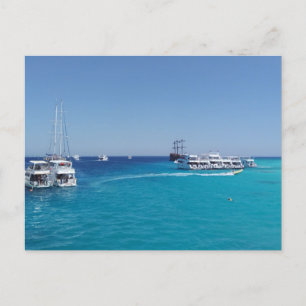 Parkeren op jacht met toeristen bij White Island Briefkaart