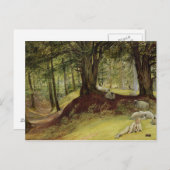 Parkhurst Bossen, Abinger, Surrey Briefkaart (Voorkant / Achterkant)