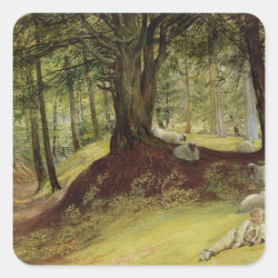 Parkhurst Bossen, Abinger, Surrey Vierkante Sticker